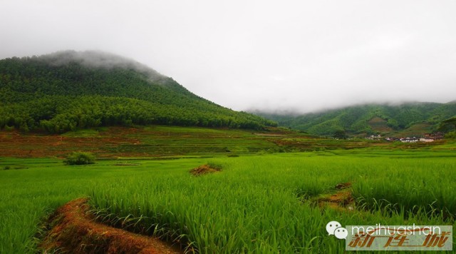 连城县有多少人口_复地 连城国际今日开盘现场气氛异常火爆