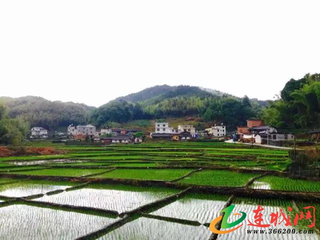 邱氏人口_邱氏亲属总祠祭祖 永怀爱国情操(3)